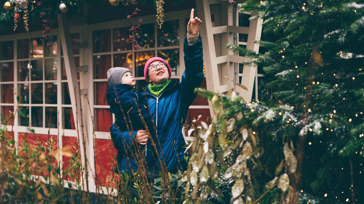 Vánoční poselství pro nadcházející rok: Sázejme stromy a buďme skromní